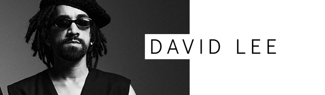 DAVID LEE