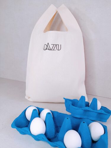 Cazu Studio