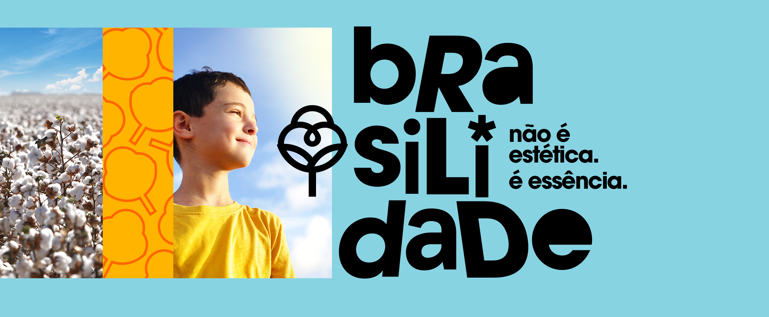 Banner Principal